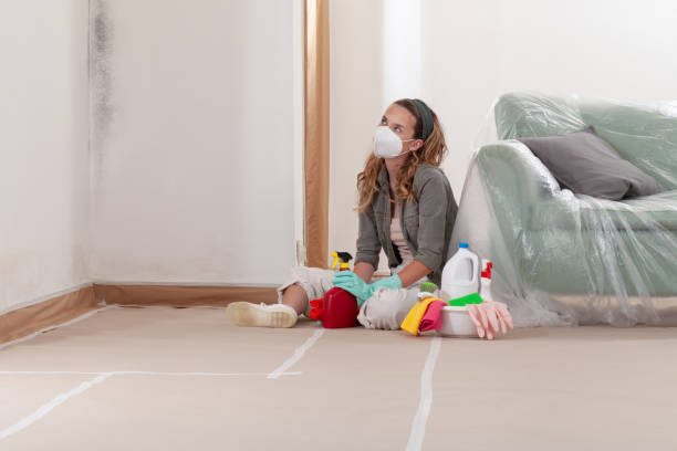 Reliable Mold Remediation contractor in Dimondale, MI by Cheap Mold Removal